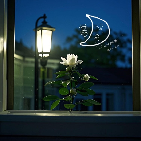 微微 album art