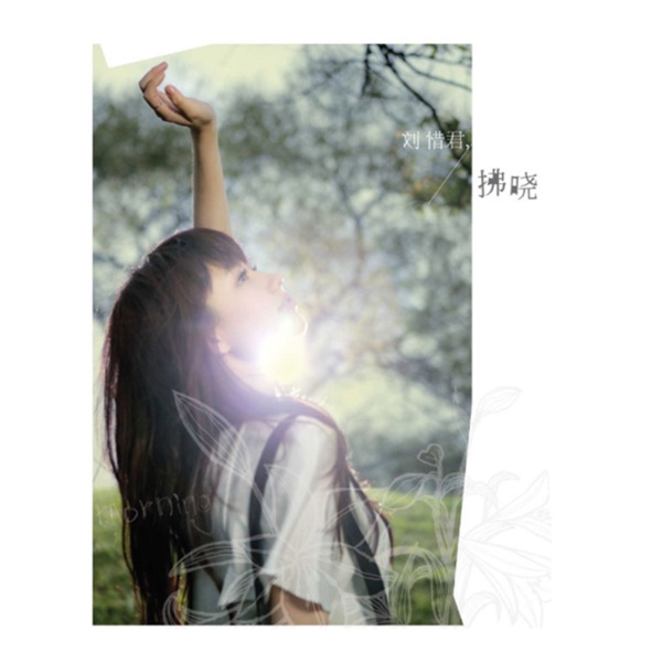 怎么唱情歌 album art