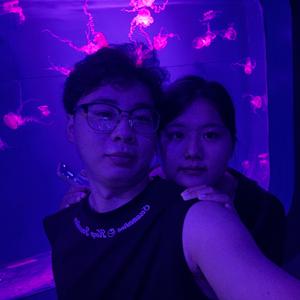 会开花的云 album art