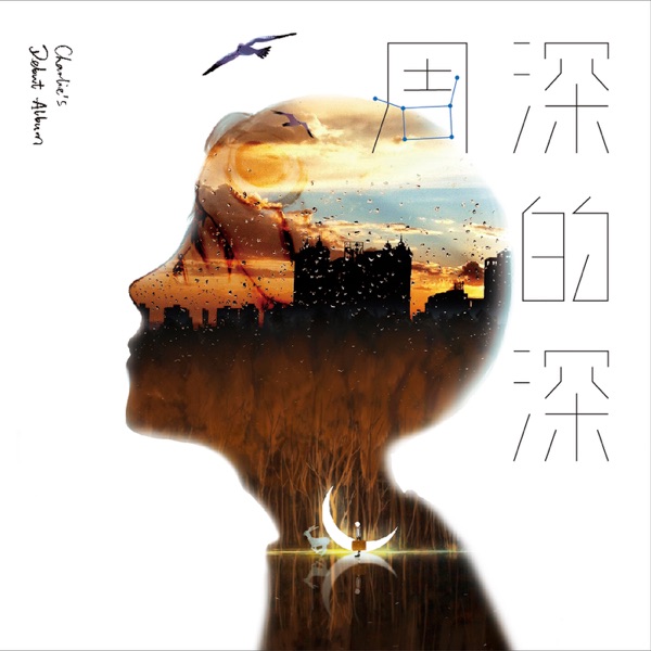 亲爱的旅人啊 album art