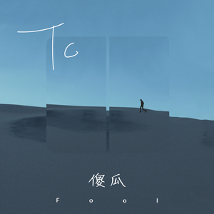 傻瓜 album art