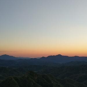 落叶归根 album art