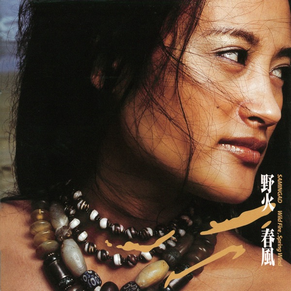 流浪记 album art