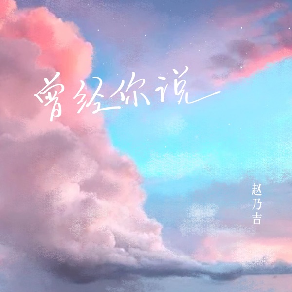 曾经你说 album art