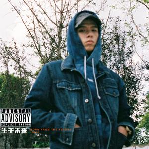 有种 album art