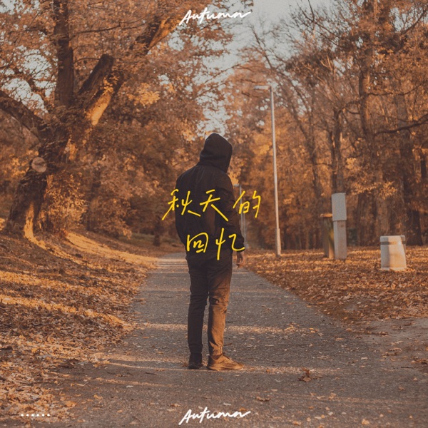 孤雏 album art