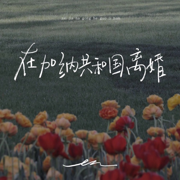 在加纳共和国离婚 album art